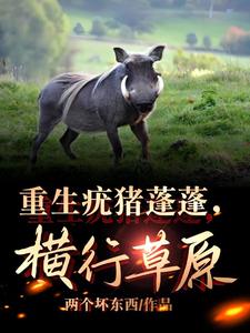 工地盒饭爆火,城管连夜加班